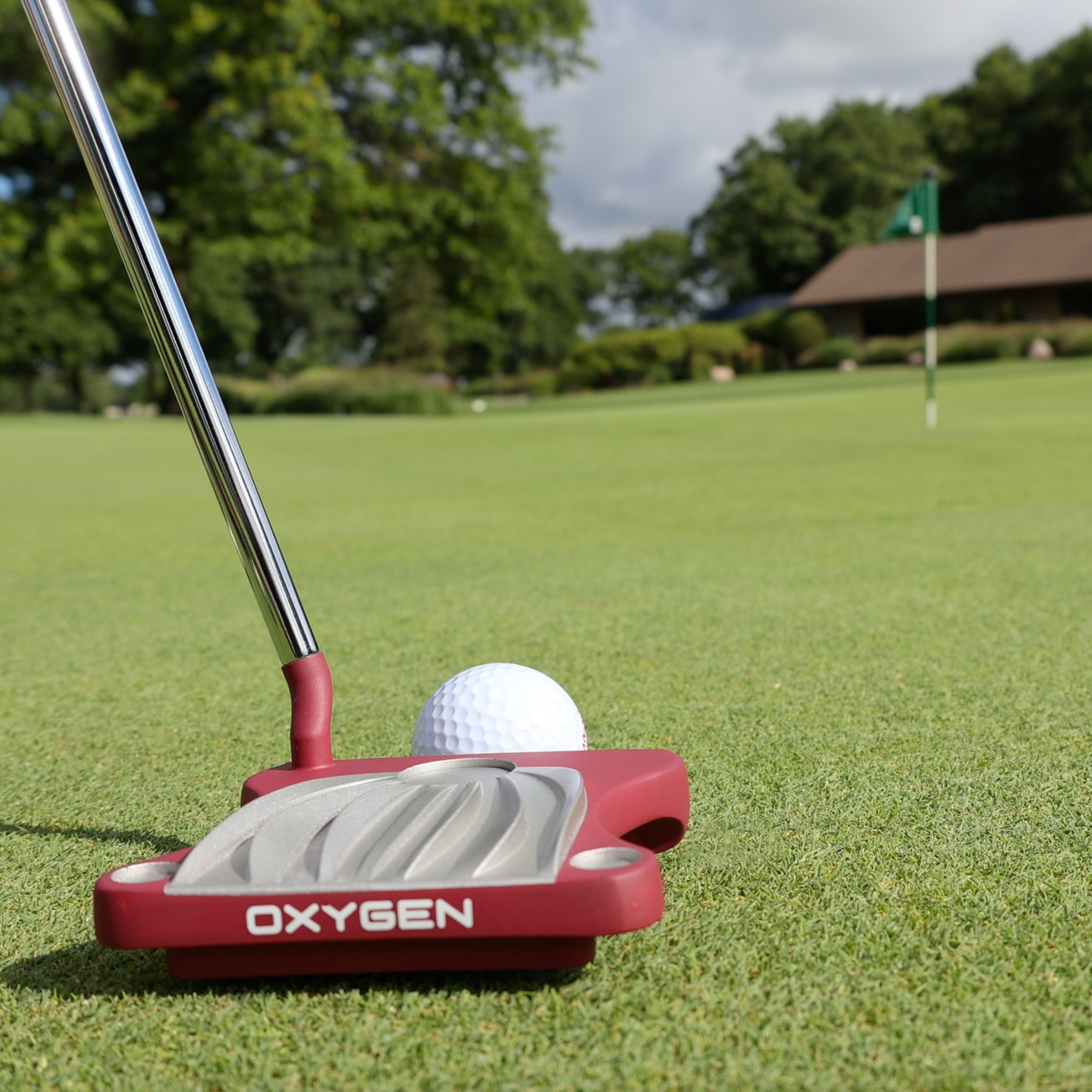 CLICK IMAGE AND SHOP NOW...Oleander Putter... SAVE $120. Pay $129.00. NOT $249.00 FREE PAID 60 DAY RETURNS.